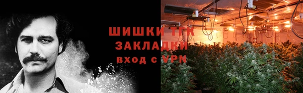 крисы Верхний Тагил