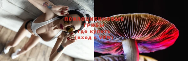 прущий лед Бородино