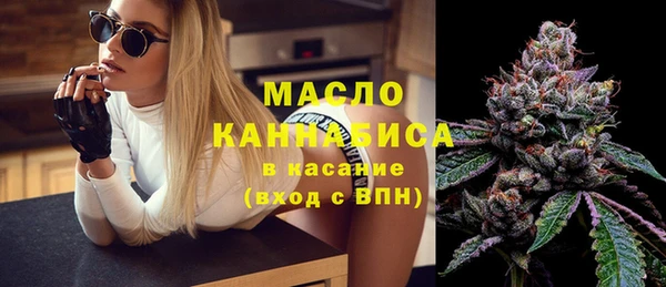 крисы Верхний Тагил