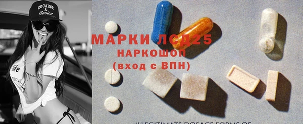 прущий лед Бородино