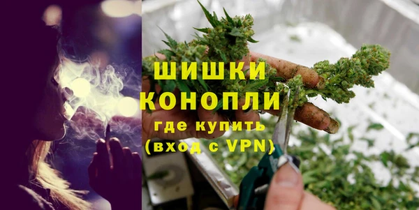 прущий лед Бородино