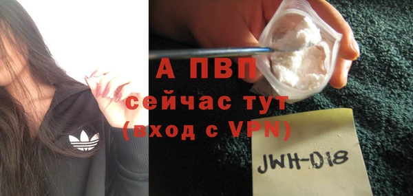 прущий лед Бородино